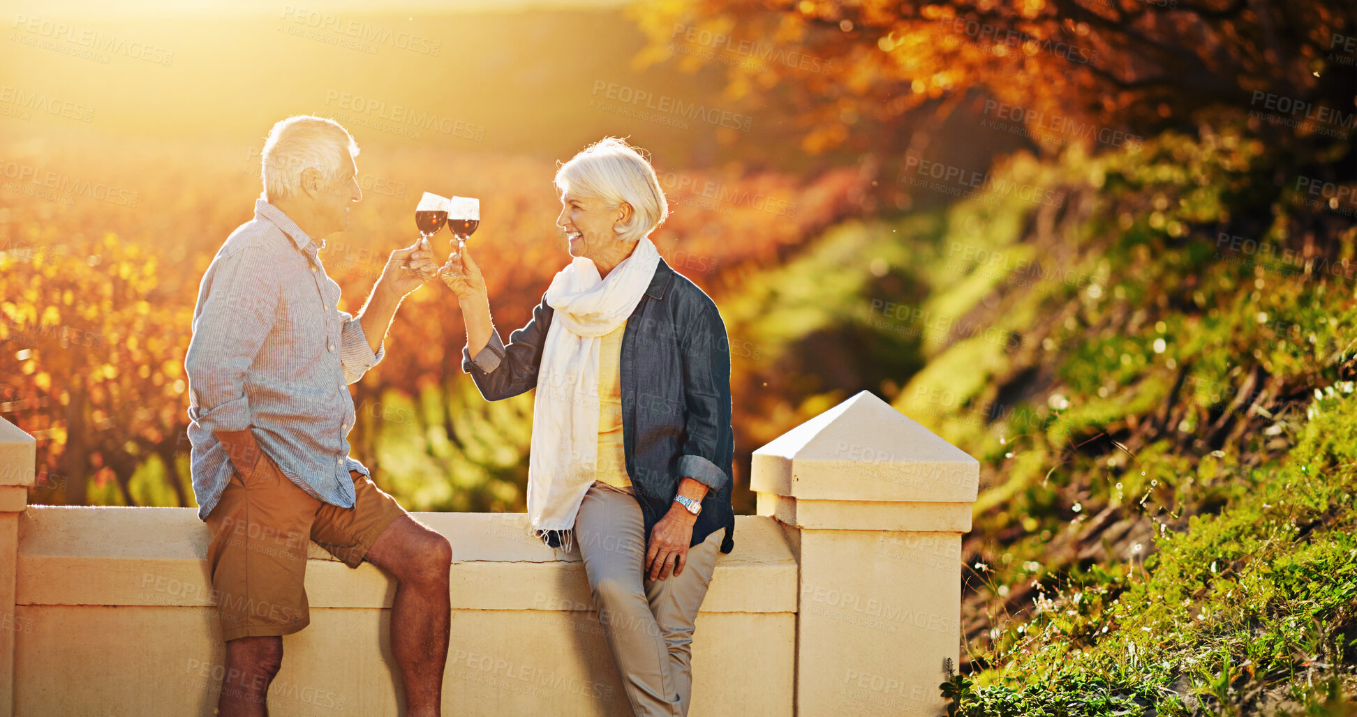 Buy stock photo Shot of a happy senior couple enjoying a glass of wine while exploring a vineyard