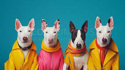 Bull terriers wearing human clothes. Abstract art background copyspace concept.