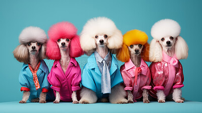 Poodles wearing human clothes. Abstract art background copyspace concept.
