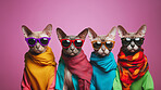 Sphynx cat wearing human clothes. Abstract art background copyspace concept.