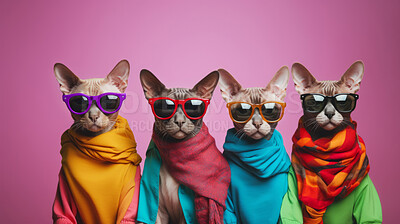 Sphynx cat wearing human clothes. Abstract art background copyspace concept.