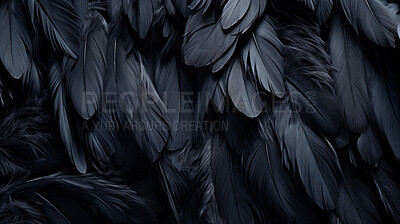 Closeup black feathers creative banner. Abstract art texture detail background