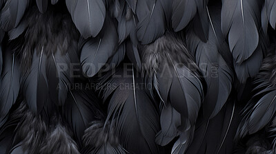 Closeup black feathers creative banner. Abstract art texture detail background