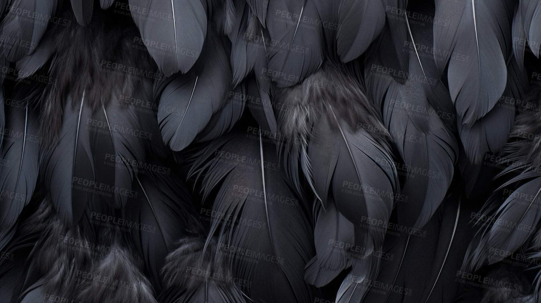 Buy stock photo Closeup black feathers creative banner. Abstract art texture detail background