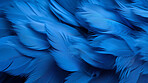 Closeup blue feathers creative banner. Abstract art texture detail background