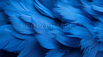 Blue feather Stock Photos, Royalty Free Blue feather Images