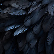 Closeup blue feathers creative banner. Abstract art texture detail