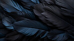 Closeup black feathers creative banner. Abstract art texture detail background