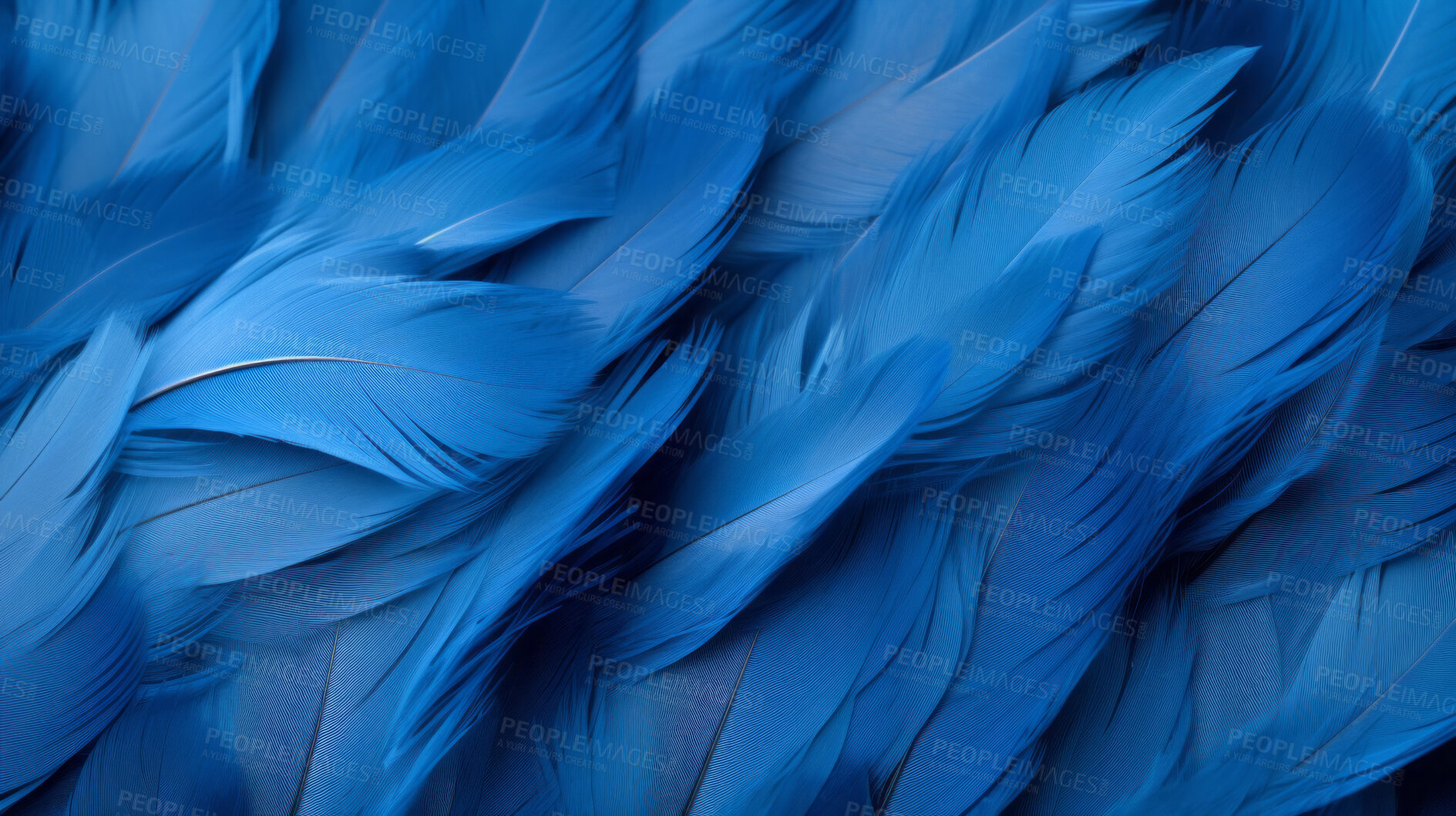 Buy stock photo Closeup blue feathers creative banner. Abstract art texture detail background