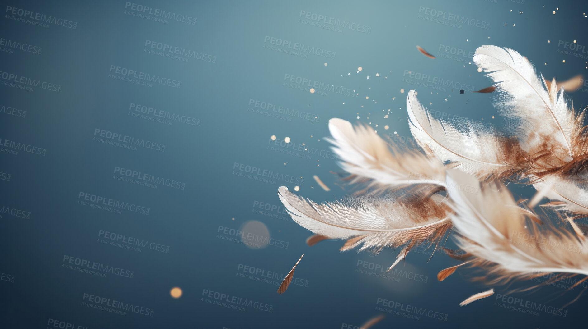 Buy stock photo Feathers falling on dark background. Bokeh banner with copyspace