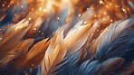 Closeup colorful feathers creative banner. Abstract art texture detail background