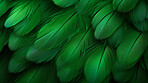 Closeup green feathers creative banner. Abstract art texture detail background