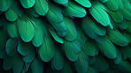 Closeup green feathers creative banner. Abstract art texture detail background