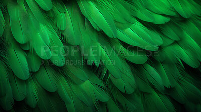Closeup green feathers creative banner. Abstract art texture detail background