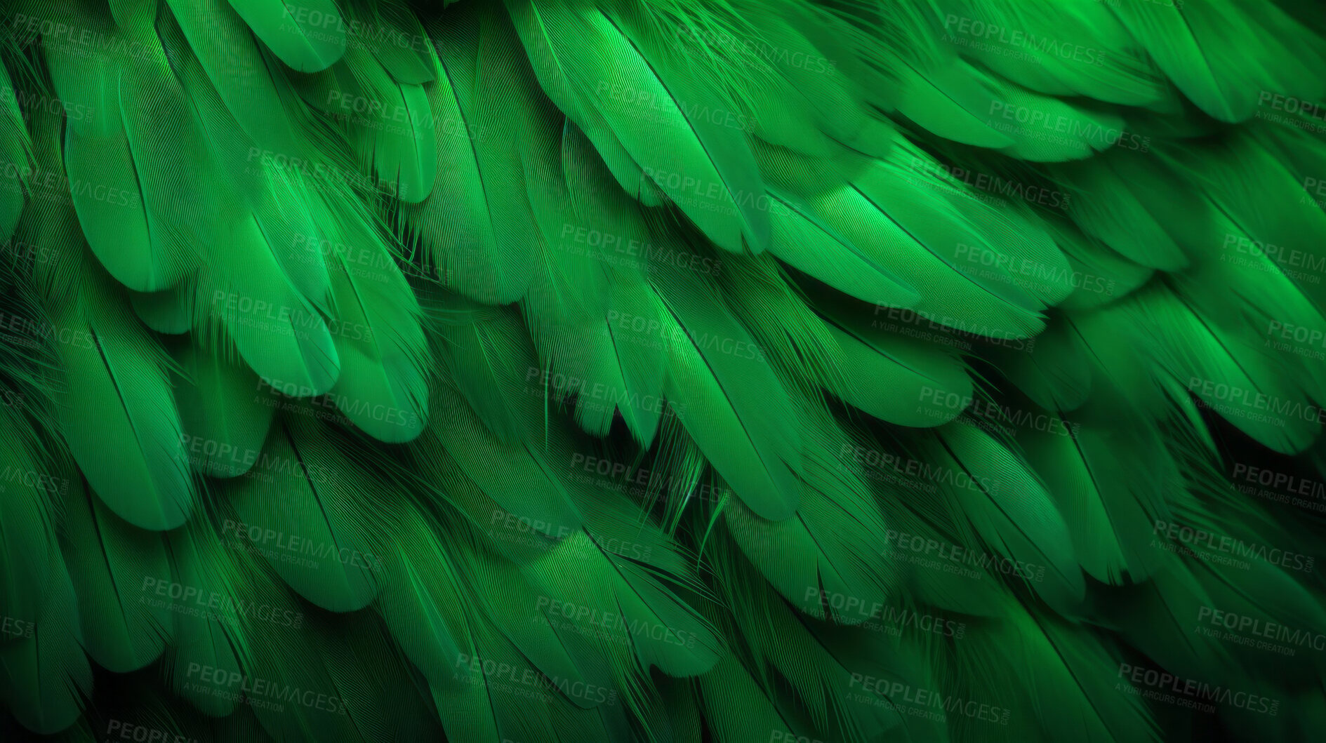 Buy stock photo Closeup green feathers creative banner. Abstract art texture detail background