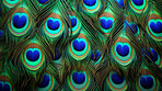 Closeup peacock feathers creative banner. Abstract art texture detail background