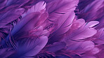 Closeup purple feathers creative banner. Abstract art texture detail background