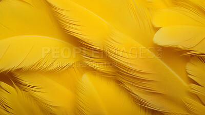 Closeup yellow feathers creative banner. Abstract art texture detail background