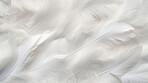 Closeup white feathers creative banner. Abstract art texture detail background