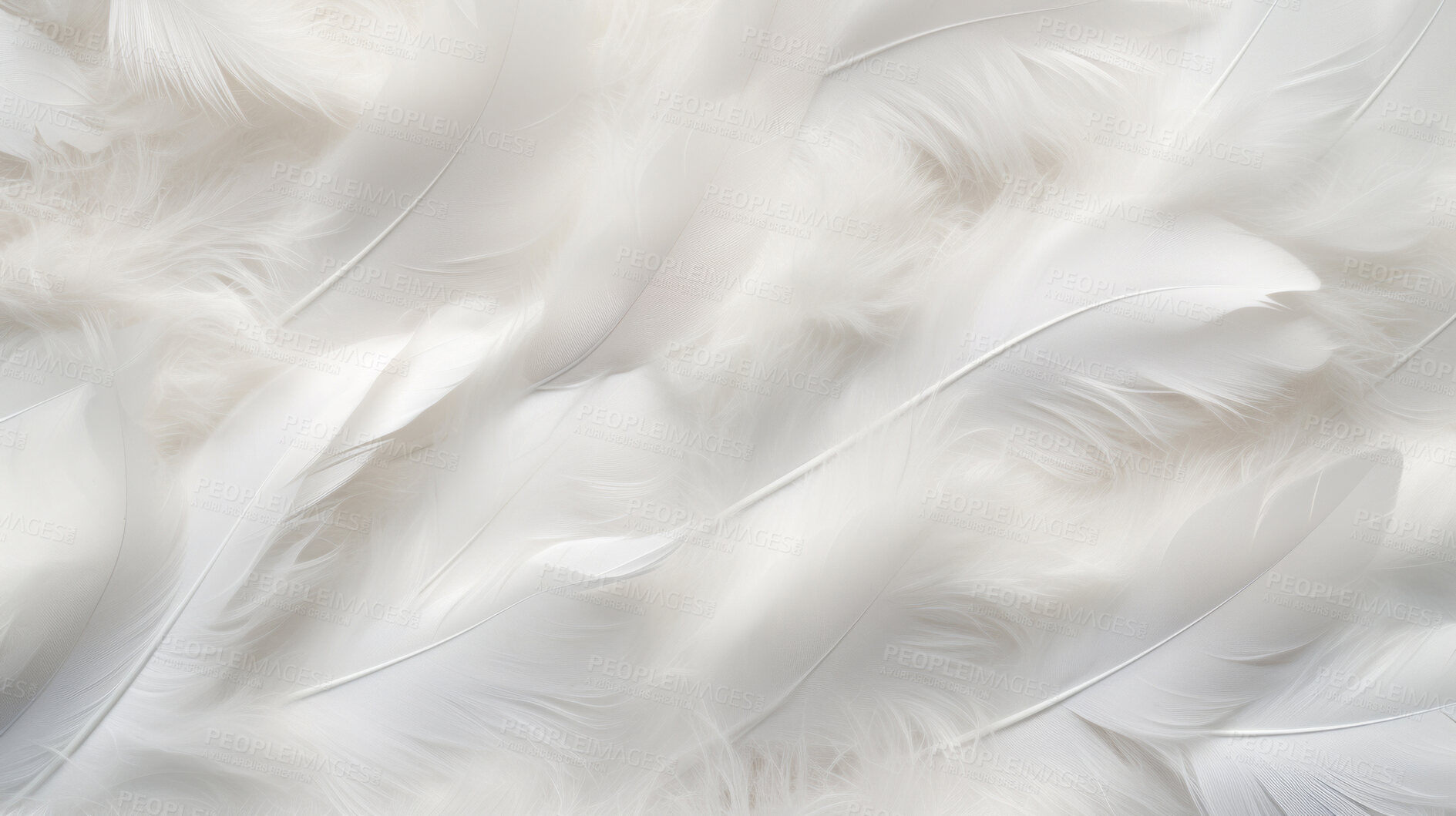 Buy stock photo Closeup white feathers creative banner. Abstract art texture detail background