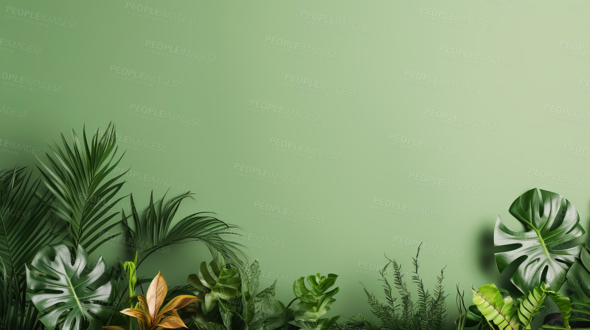 Buy stock photo Green wall and plants with copyspace. Marketing advertising platform