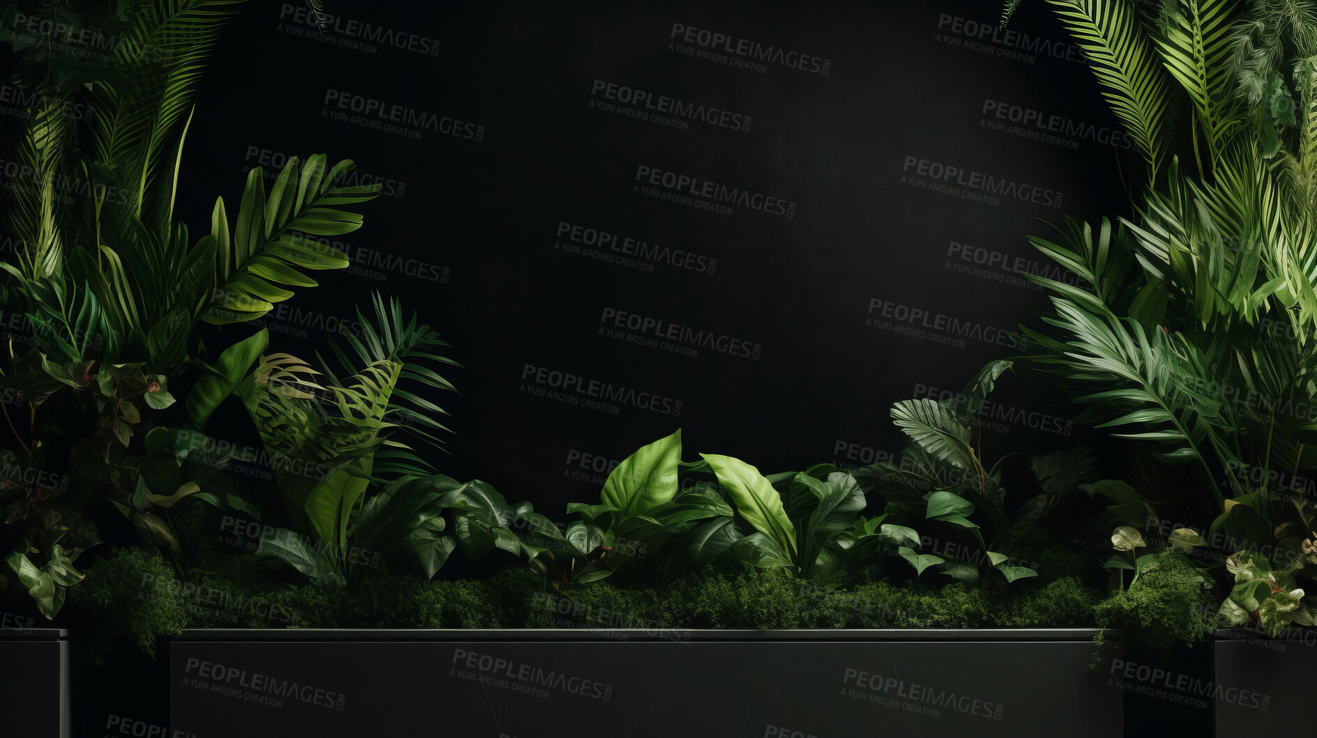 Buy stock photo Green wall and plants with copyspace. Marketing advertising platform