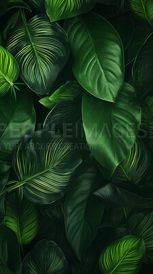 Green leaves wallpaper background. Product presentation invitation template.