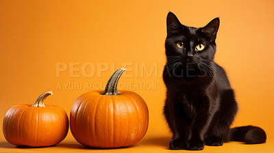 Buy stock photo Creepy black cat and pumpkins, for halloween celebration against orange wall