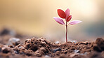 Small plant growing against  blur background. Copy space. Eco concept.