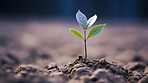 Small plant growing against blur background. Copy space. Eco concept.