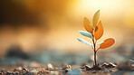 Small plant growing against orange blur background. Copy space. Eco concept.