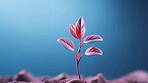 Small plant growing against blur background. Copy space. Eco concept.