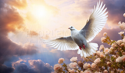 Buy stock photo Peace illustrated by white dove. Floral branches. Peace concept.