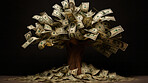 Isolated money tree against a black background. Savings, investment and growth concept