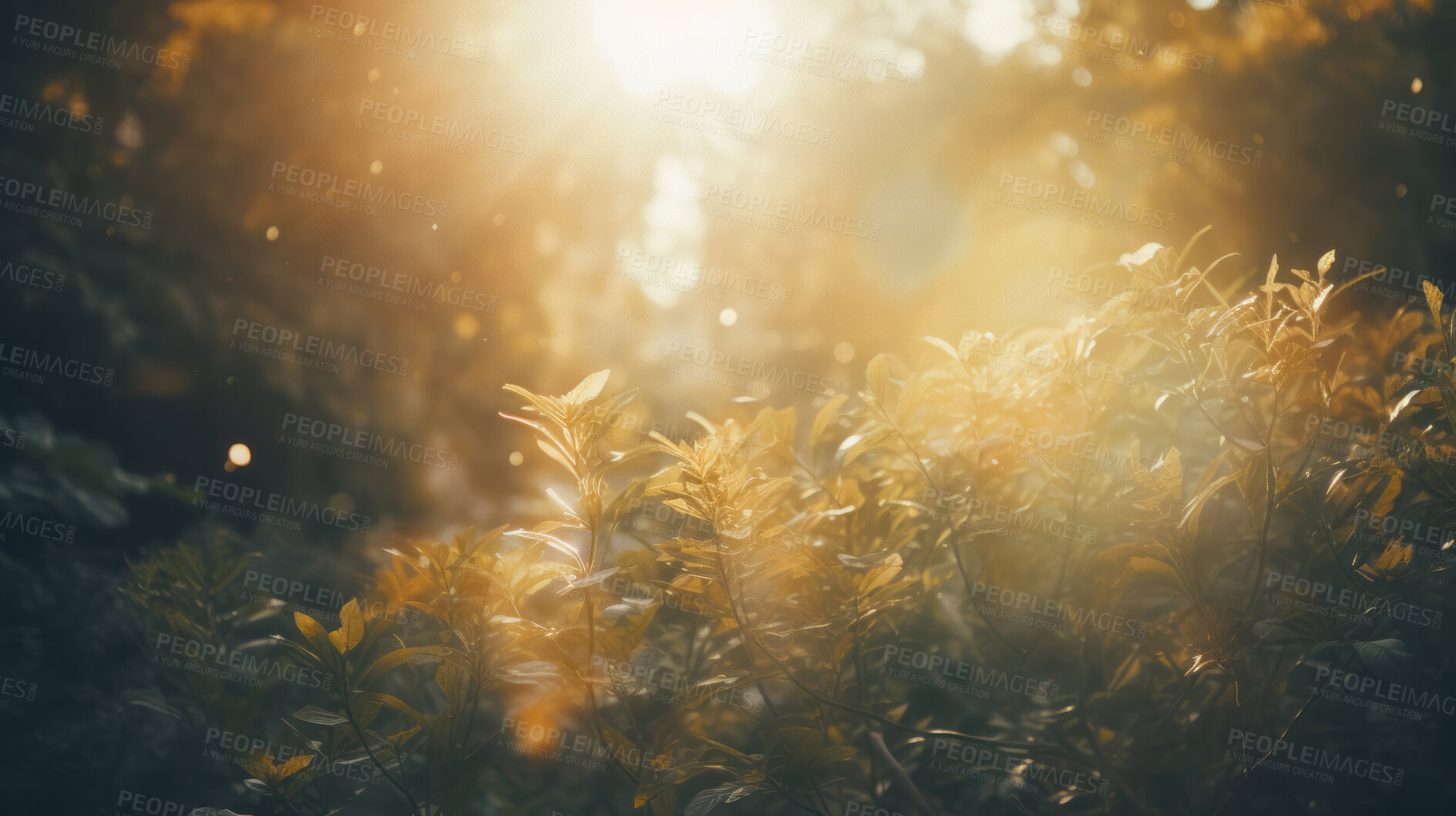 Buy stock photo Sunlight streaming through trees. Religious spiritual awakening.