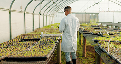 Buy stock photo Botanist, man and greenhouse for agriculture, tablet and study plants or vegetables for science. Scientist, back or farmer at nursery on tech, research leaf and food experiment for ecology in garden