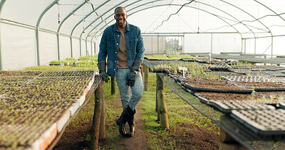 Buy stock photo Greenhouse, agriculture and portrait of farmer with plants, smile and quality assurance in food production. Sustainable business, agro farming with happy black man or vegetable supplier in garden.