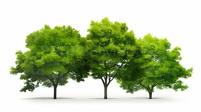 Buy stock photo Trees isolated on a white background. Eco-friendly and world earth day concept