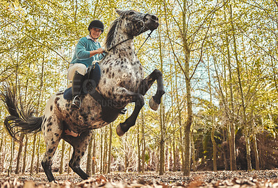 Horse with woman, riding in forest and jumping practice for competition, race or dressage with trees in nature. Equestrian sport, jockey or rider on animal in woods for adventure, training and care.