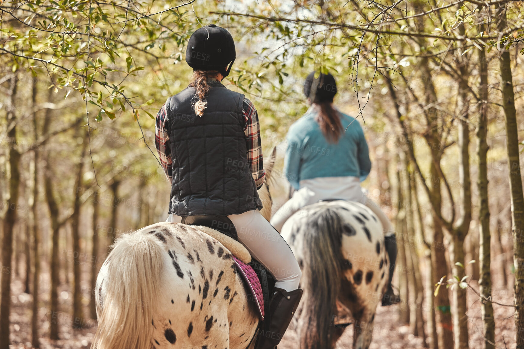 Buy stock photo Back, woods and women with horses, nature and riding with fun activity, hobby and travelling with training. People, friends or trainers with animals, vacation and practice in a forest, break or relax