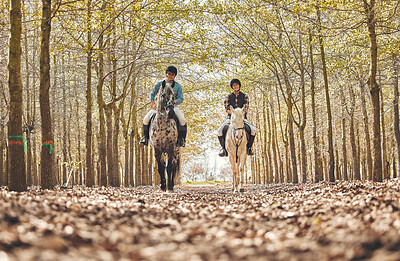 Portrait, women and horses in a forest, nature and happiness with animal care, stallion and countryside. Adventure, pets and girls with joy, activity and relax with hobby, bonding together and woods