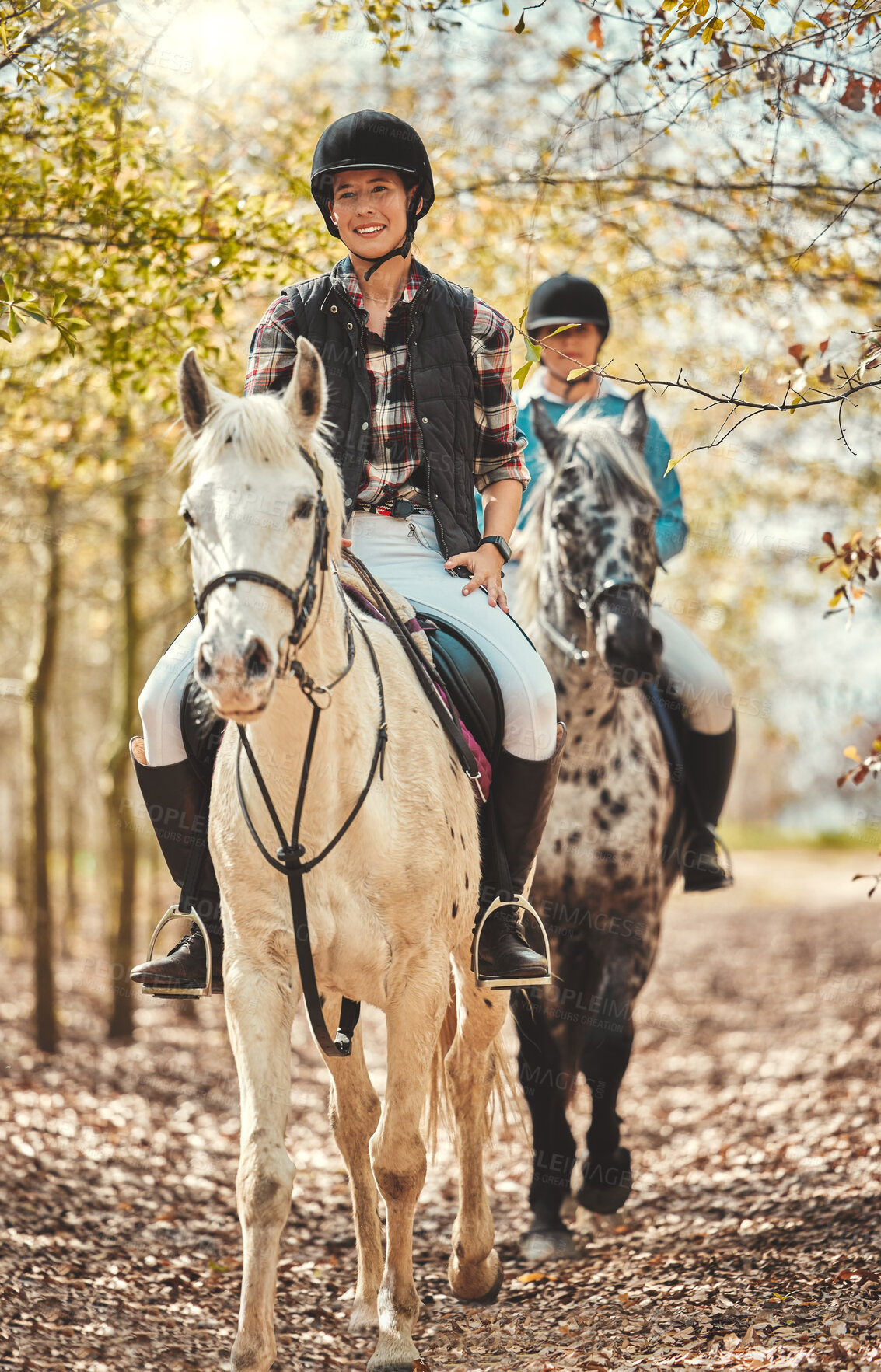 Buy stock photo Portrait, women and horses in a forest, happiness and woods with animal care, stallion and countryside. Adventure, pets and girls with joy, activity and relax with hobby, bonding together and friends