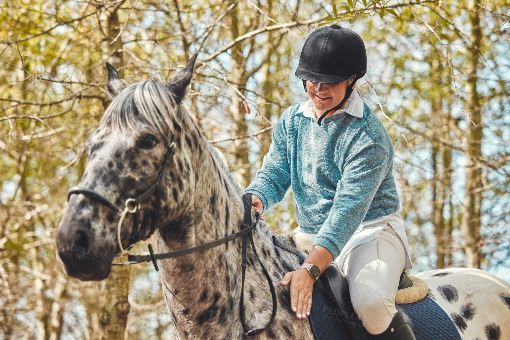 Buy stock photo Horse with woman, riding in forest and practice for competition, race or dressage with trees in nature. Equestrian sport, female jockey or rider on animal in woods for adventure, training and care.