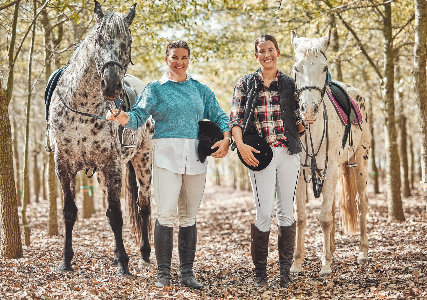 Buy stock photo Portrait, women and horses in a forest, smile and happiness with animal care, stallion and countryside. Adventure, pets or girls with nature, activity or friends with hobby, bonding together or woods