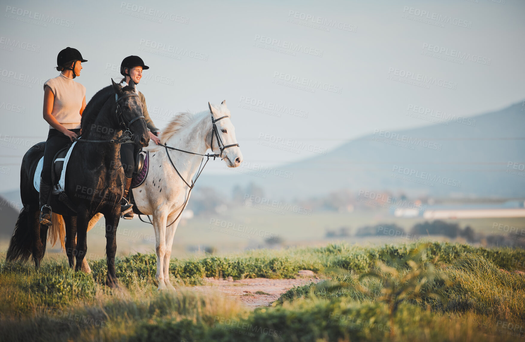 Buy stock photo Horse riding, freedom and view with friends in nature on horseback enjoying their hobby during a summer morning. Countryside, equestrian and female riders outdoor together for adventure or bonding