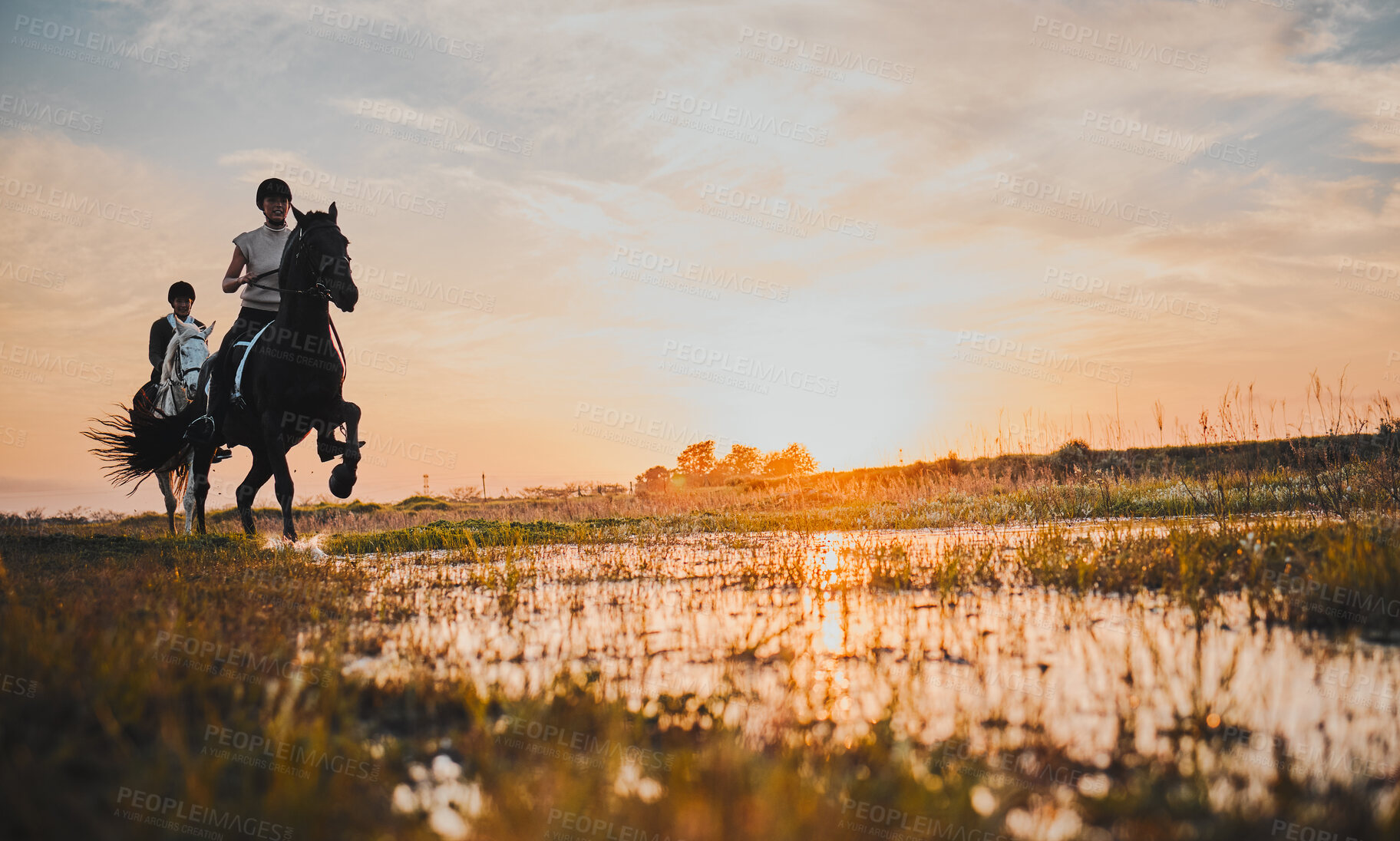 Buy stock photo Horse riding, friends and women in countryside at sunset with outdoor mockup space. Equestrian, girls and animals in field, nature and adventure, travel and journey with pet for vacation in summer.