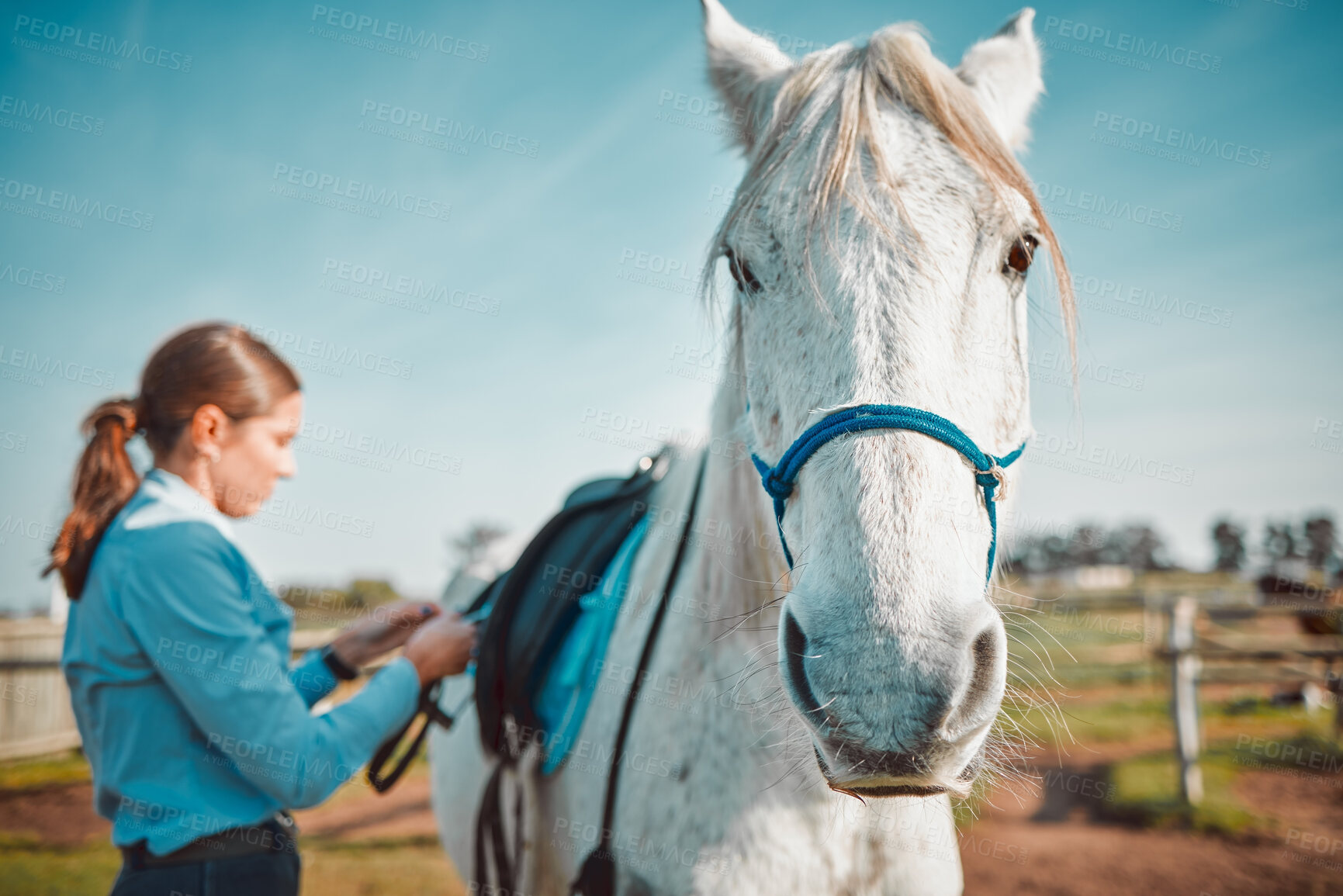 Buy stock photo Freedom, race and horse with girl on countryside for riding, equestrian and affectionate. Pet, pasture and champion stallion with child jockey and animal on nature ranch for relax, travel or weekend