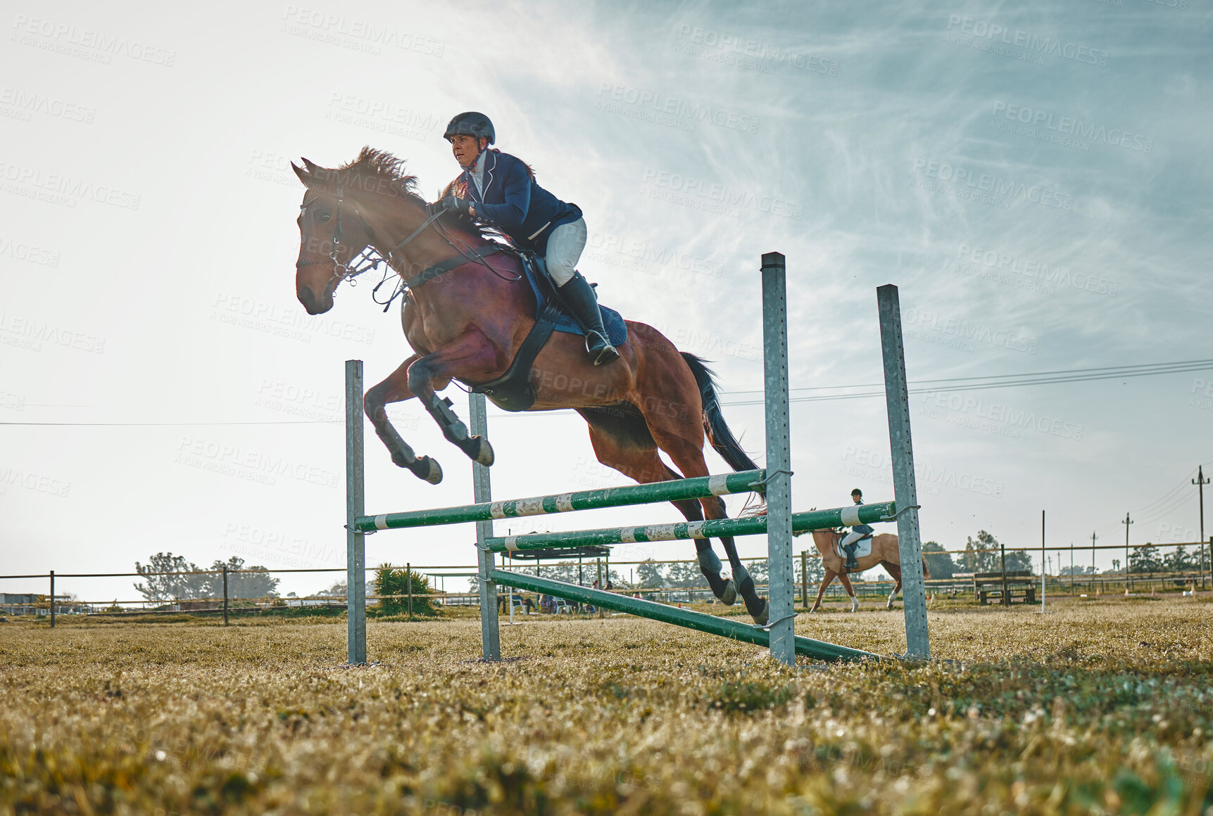 Buy stock photo Training, competition and woman on a horse for sports, an event or show on a field in Norway. Jump, action and girl doing a horseback riding course during a jockey race, hobby or sport in nature