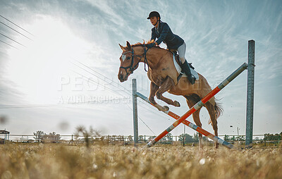 Buy stock photo Training, jump and woman on a horse for a course, event or show on a field in Norway. Equestrian, jumping and girl doing a horseback riding obstacle during a jockey race, hobby or sport in nature
