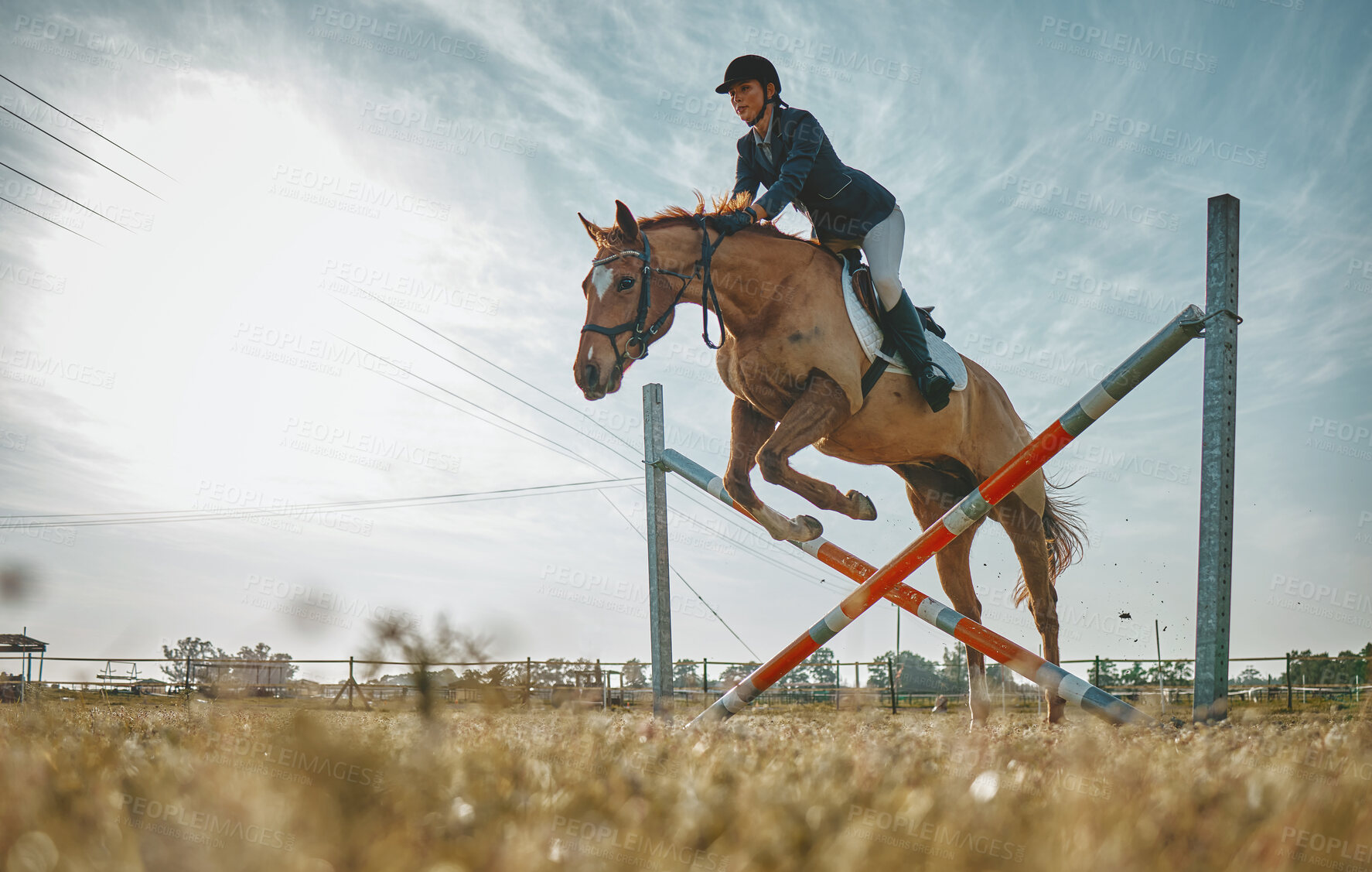 Buy stock photo Training, jump and woman on a horse for a course, event or show on a field in Norway. Equestrian, jumping and girl doing a horseback riding obstacle during a jockey race, hobby or sport in nature